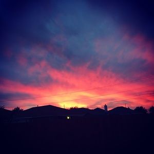 Meet your Posher, Isaura